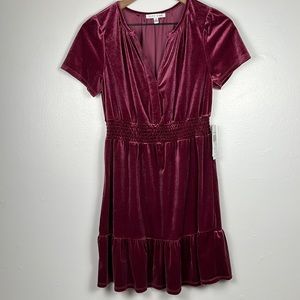 City Vibe Velour Skater Fuchsia Dress with smocked waist, small, NWT, super cute
